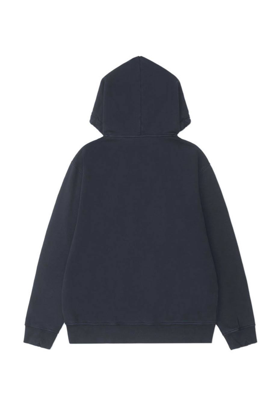 Apex Washed Hoodie